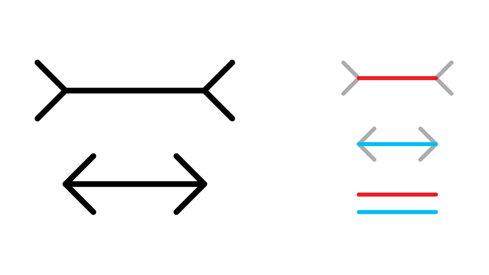 Müller-Lyer Illusion | Source UChicago News Müller-Lyer Illusion - lines appear to be different lengths, but are all the same