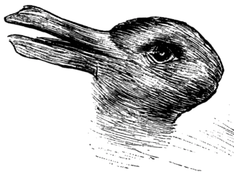 Duck-Rabbit Illusion | Source Wikimedia Commons